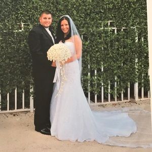 Cathedral veil & flare skirt. Skirt NWT David's